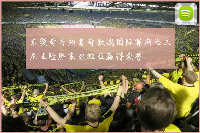 东契奇与约基奇激战国际赛斯洛文尼亚险胜塞尔维亚赢得荣誉