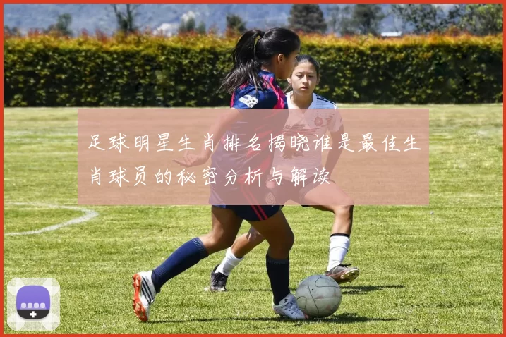 足球明星生肖排名揭晓谁是最佳生肖球员的秘密分析与解读