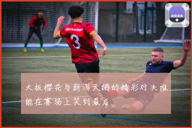 大板樱花与新泻天鹅的精彩对决谁能在赛场上笑到最后